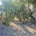 O Kipos Ixia (Rhodes)